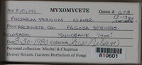 Image Associated With the Occurence